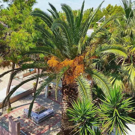 Ktima Papaoikonomou 2 * Ποτός