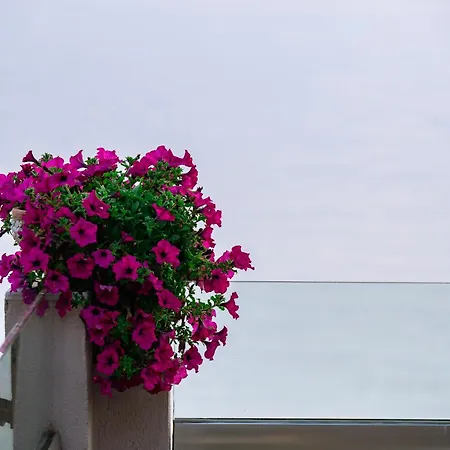 Apartament Ktima Papaoikonomou 2