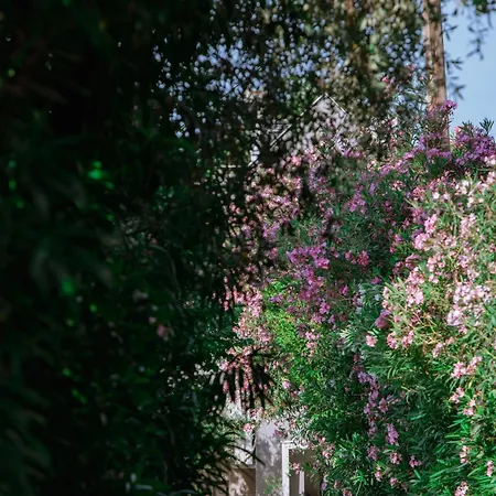 Ktima Papaoikonomou 2 Διαμέρισμα *