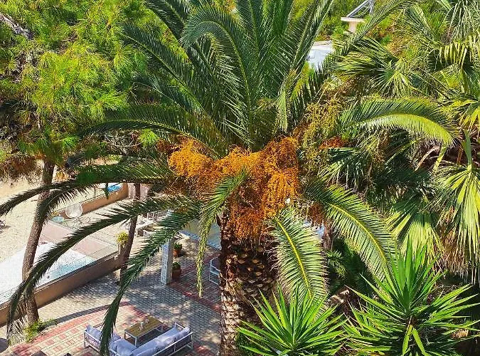 Ktima Papaoikonomou 2 * Ποτός