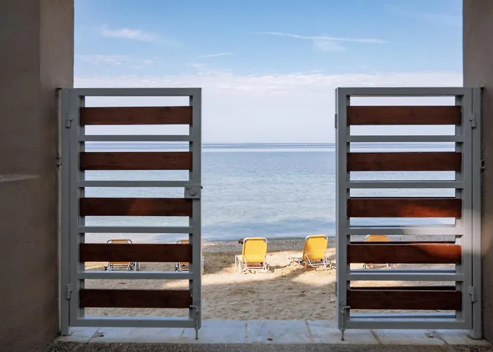 Ktima Papaoikonomou 2 Potos