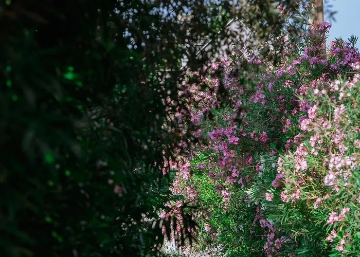 Ktima Papaoikonomou 2 Lägenhet *